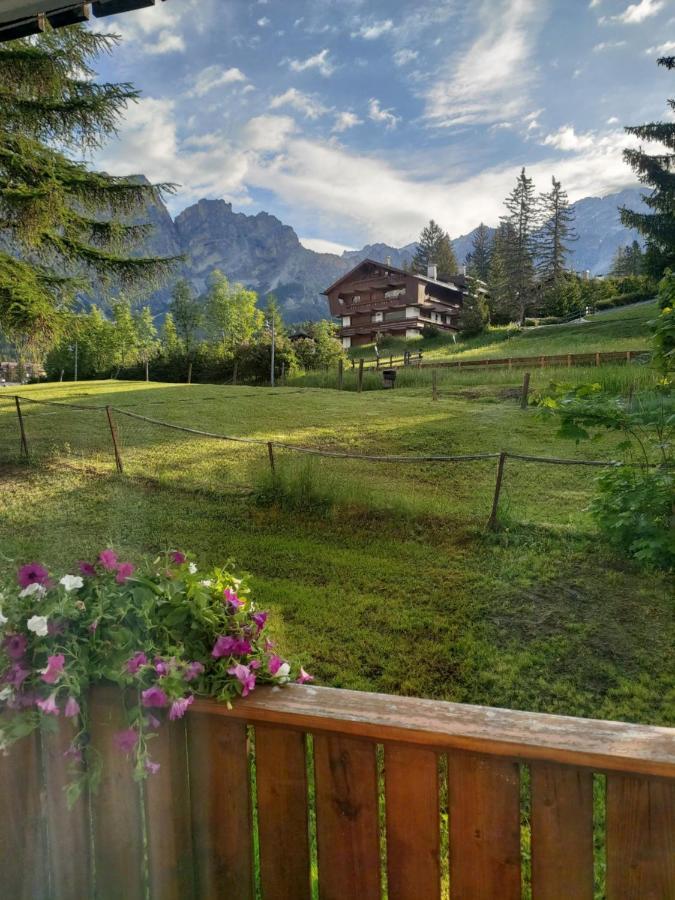 Appartamento Cortina 1956 Cortina dʼAmpezzo Zewnętrze zdjęcie